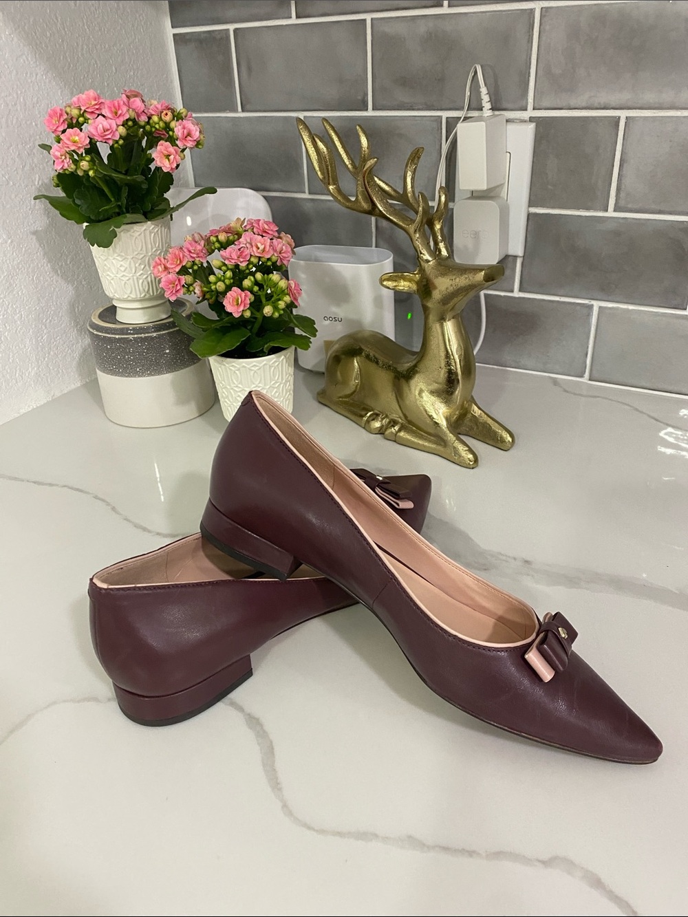 kate spade Pointed-Toe Bow Flats in Burgundy with Blush Trim - Picture 2 of 4